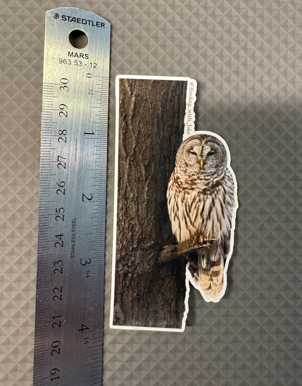 The Barred Owl 4” Sticker